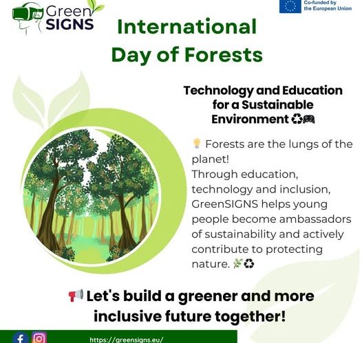 International Forest Day